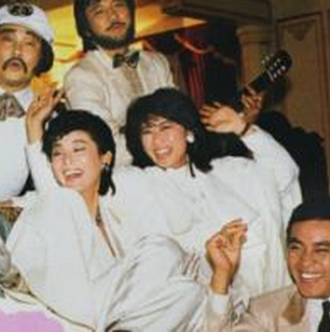 七隻狐狸 七隻狐狸