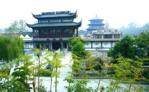 新沂古墩 新沂古墩