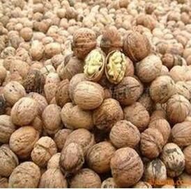 赫章核桃 赫章核桃