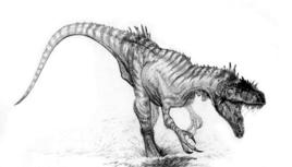 三角洲奔龍 三角洲奔龍