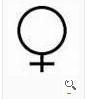 女性符號 女性符號