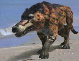 驢頭狼[《謎蹤之國3神農天匭》中怪物]