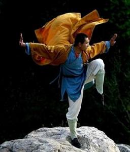 少林功夫 少林功夫