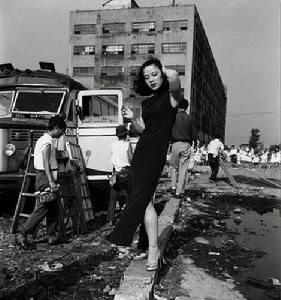 我的夜鶯 我的夜鶯