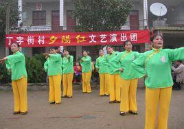 丁字街村 丁字街村