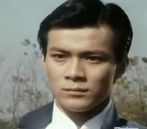 過客[中國香港1981年李添勝執導電視劇]