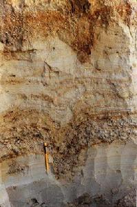 第四紀沉積物 第四紀沉積物