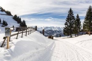 施維茨州 施維茨州