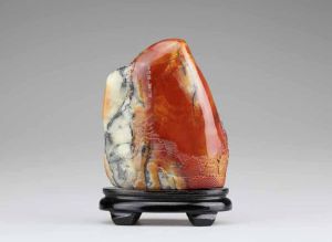 《奇珍閣》 《奇珍閣》