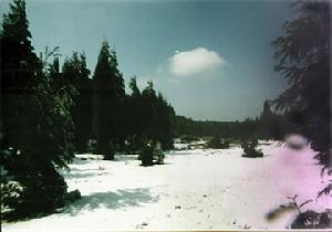 畢節國家森林公園
