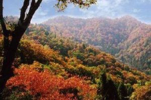 自然範圍 自然範圍