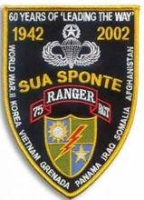 麥支隊的青天白日臂章