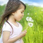 高智商兒童 高智商兒童