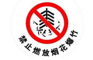 北京市煙花爆竹安全管理規定 北京市煙花爆竹安全管理規定