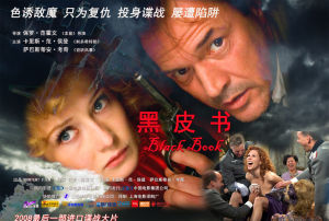 大陸版正式海報