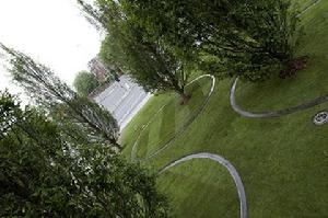 利物浦雙年展上的跳舞樹