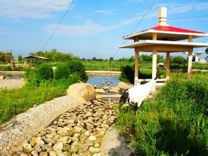 孫旗屯文化遺址 孫旗屯文化遺址