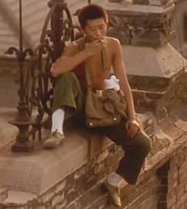 陽光燦爛的日子