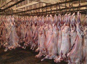 察哈爾羊肉 察哈爾羊肉