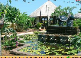 花園找數字2 花園找數字2