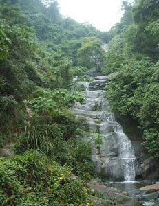 歌樂山森林公園