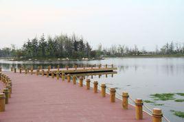 蒙城鯤鵬公園 蒙城鯤鵬公園