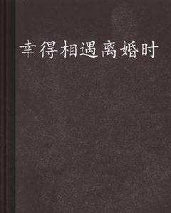 幸得相遇離婚時 幸得相遇離婚時