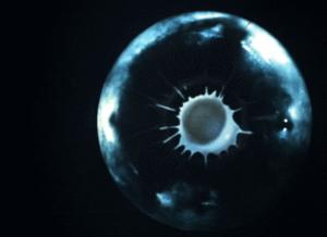 泰羅&middot;奧特曼[日本圓谷公司出品特攝劇]