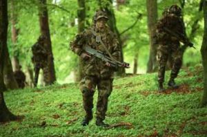 愛爾蘭陸軍突擊大隊