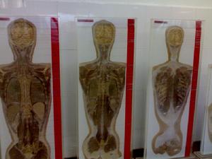 中國數字人男1號