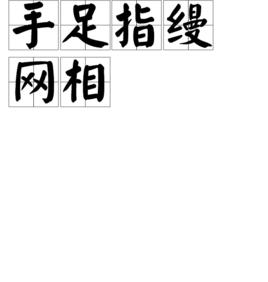 手足指縵網相 手足指縵網相