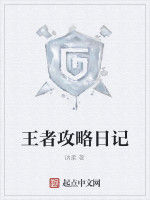 王者攻略日記 王者攻略日記