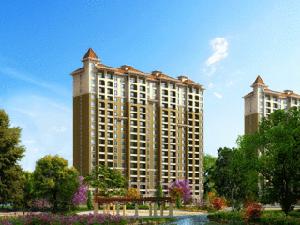 大禹塞維亞 大禹塞維亞