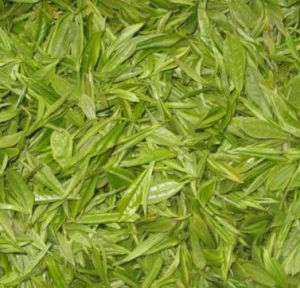 屯溪珍眉 屯溪珍眉