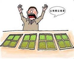 非法轉讓土地 非法轉讓土地