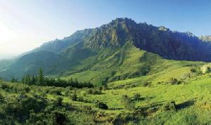 寧夏蘇峪口國家森林公園