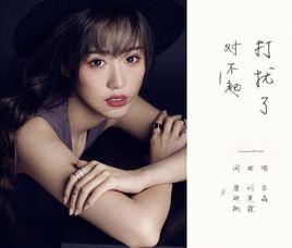 對不起,打擾了 對不起,打擾了