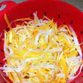 木瓜白蘿蔔沙拉 木瓜白蘿蔔沙拉