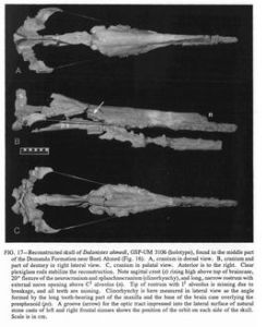 大連特鯨 大連特鯨