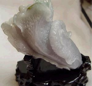 愛情白菜 愛情白菜