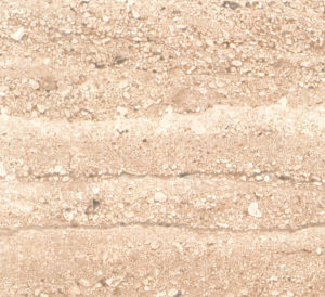 義大利木紋-平行紋 | Serpeggiante |