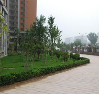 南沙灘4號樓 南沙灘4號樓