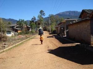大苴青村 大苴青村