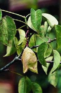 嵩明省沽油 嵩明省沽油