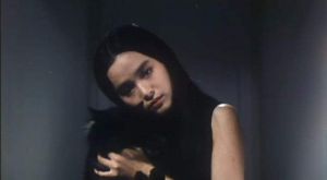 《衛斯理之老貓》 《衛斯理之老貓》