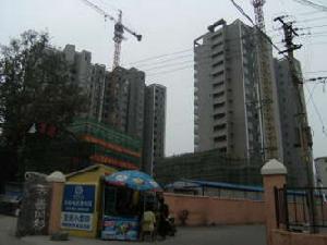 海岸陽光 海岸陽光