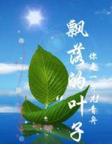 飄落的“葉子”，你是一片兒綠舟