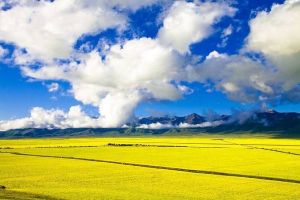 青甘大環線 青甘大環線