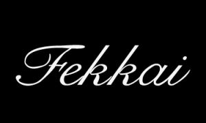 美國菲凱國際貿易有限公司 美國菲凱國際貿易有限公司