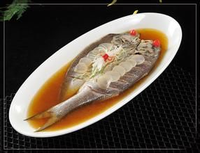 芙蓉神仙魚 芙蓉神仙魚